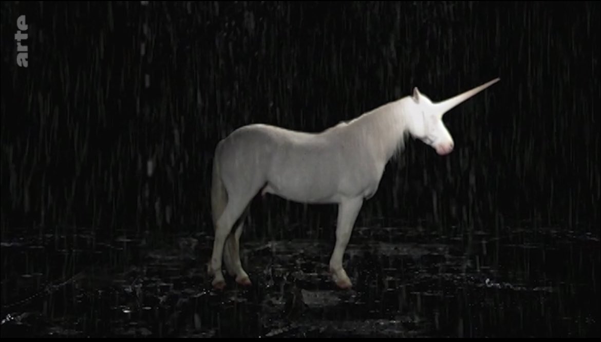 Mp97440's tweet image. En cours… 📺 #Arte
« La licorne : chef d’œuvre mythique ».
À l’occasion de l’exposition au musée Cluny à Paris, un documentaire consacré à la plus mythique et très énigmatique créature… 🦄