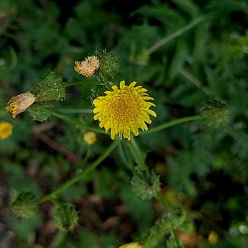 伊　謄 tweet media