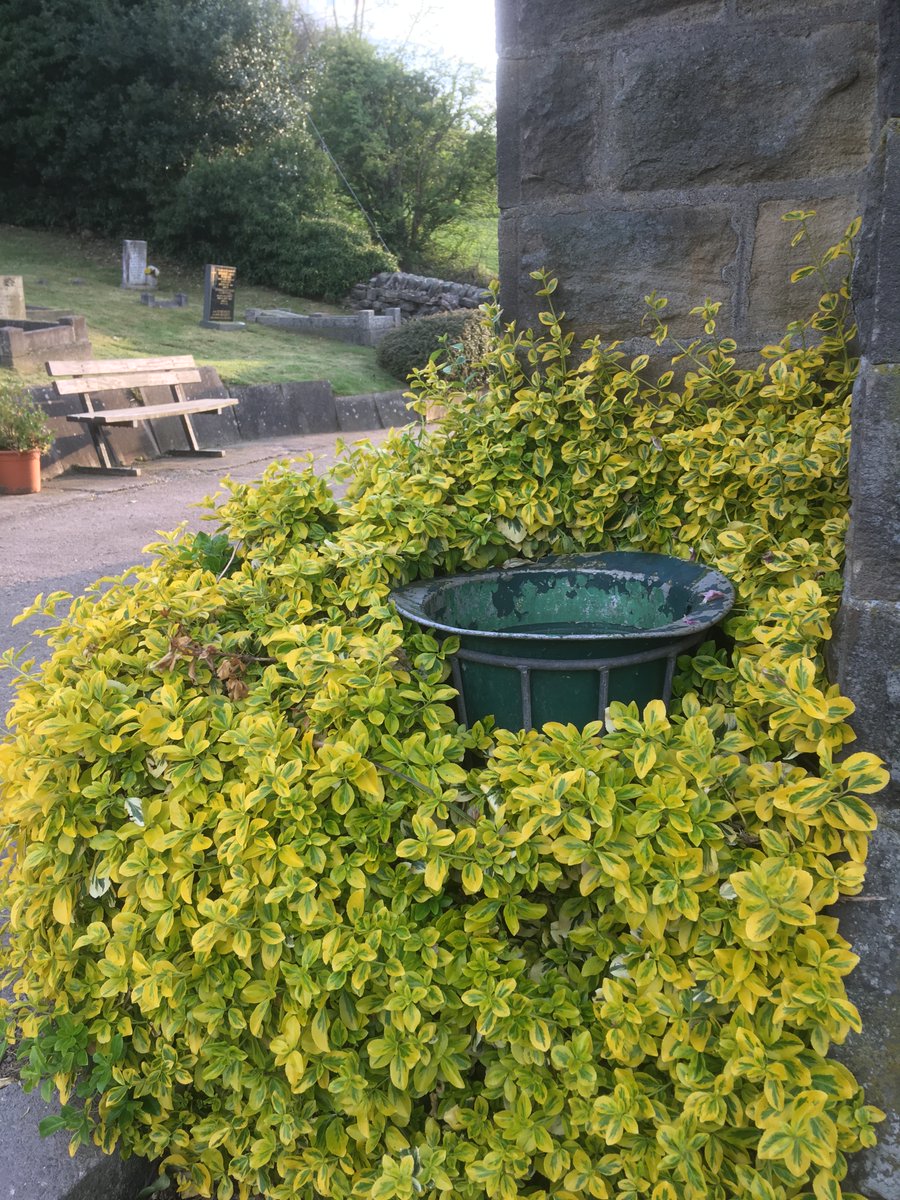 Pott_Shrigley_'s tweet image. A David Mellor GREEN bin.
#Sheffield