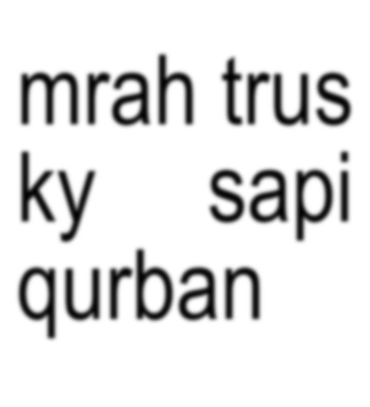 귤 tweet media