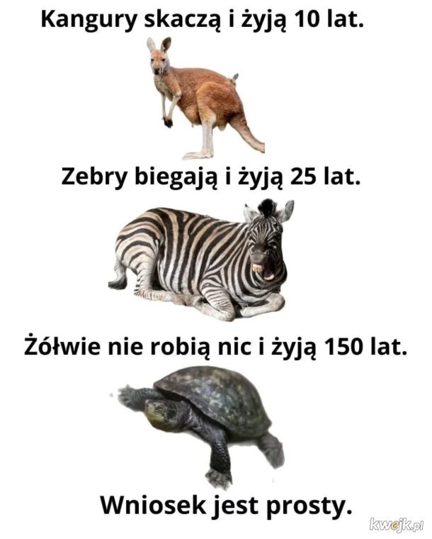 Wybór jest prosty XD
