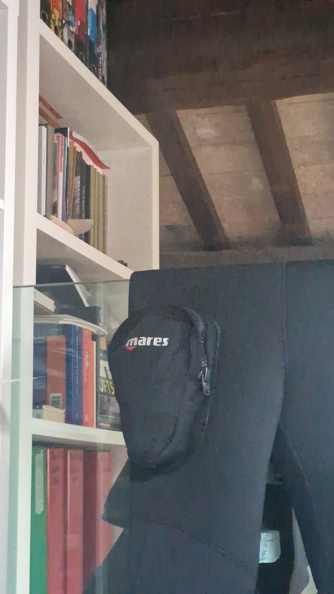 Rocas Architect tweet media