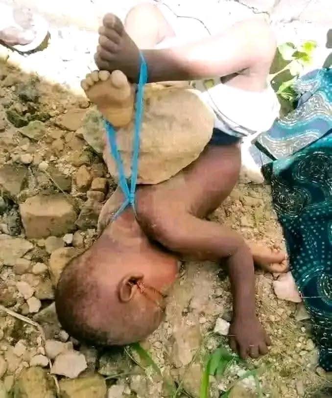 Abu-Sadeeq tweet media