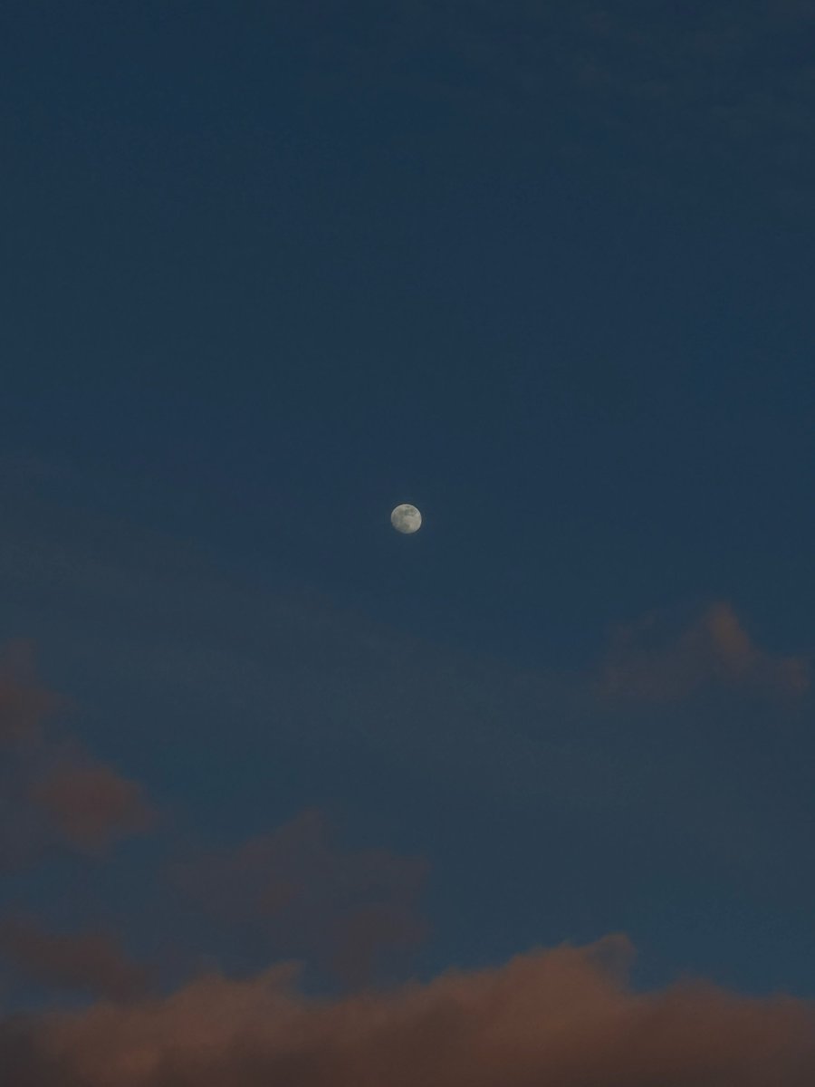 진부하면 알려달라 했지만
지나치지 않는 낭만과 보여주는 그 마음까지 늘 좋았어 ㅠ ㅠ .. ♡