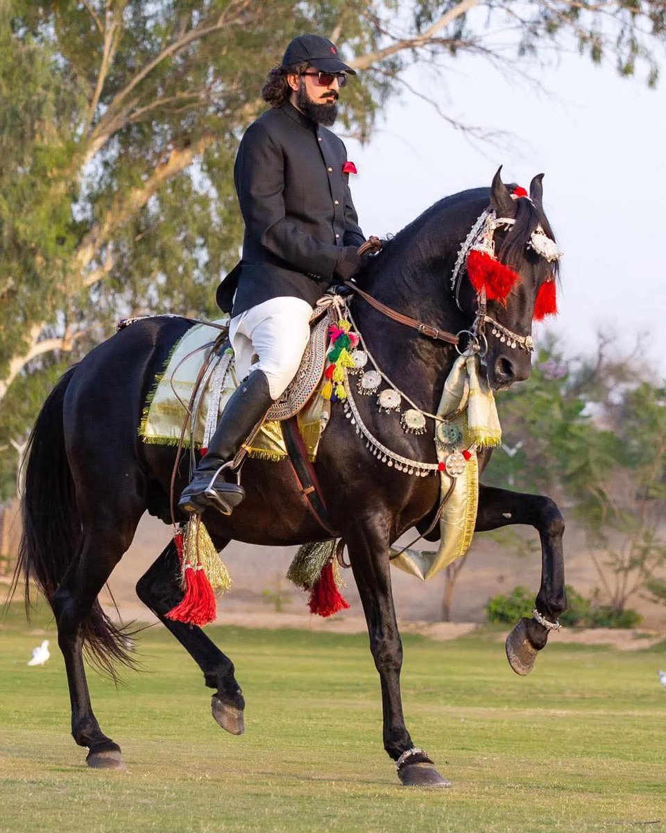 پاکستان کی تاریخی فتح کا دن 
#SultanVicePresidentITPF
#SultanRisesAgain
#GreenFlagRisesAtITPF