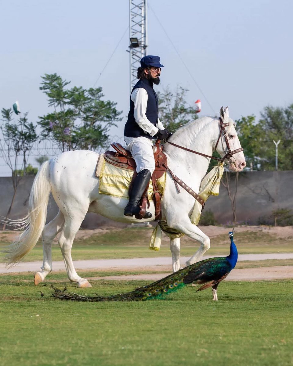 #SultanVicePresidentITPF
#SultanRisesAgain
#GreenFlagRisesAtITPF
نیزہ بازی کھیل قدیم دور میں دشمن کی خیموں کی کیلیں (Pegs) اکھاڑنے کی جنگی مشق کے طور پر شروع ہوا۔