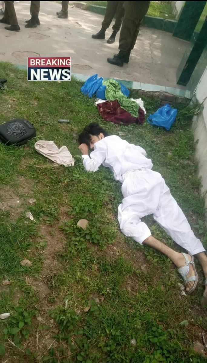 Shajar Awan tweet media