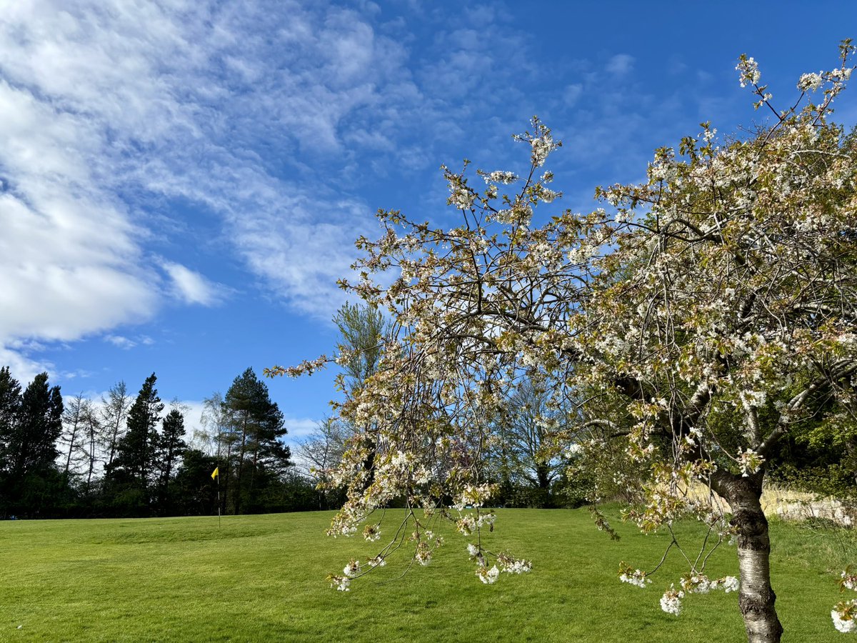 Stuart F Bendoris tweet media