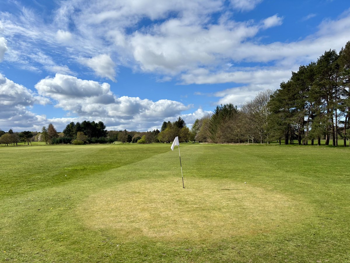 Stuart F Bendoris tweet media