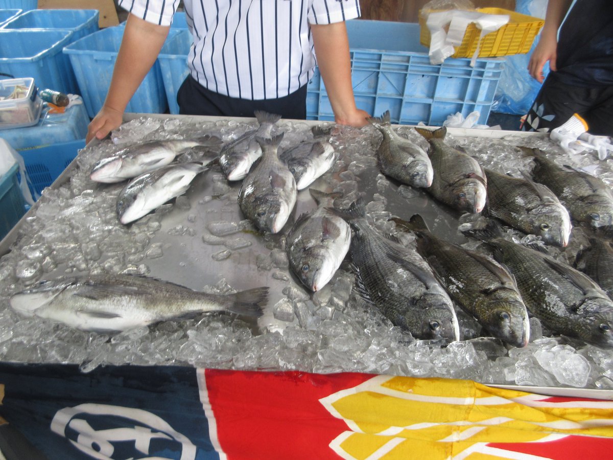 谷川 俊規(オフィス・シュンキ) tweet media