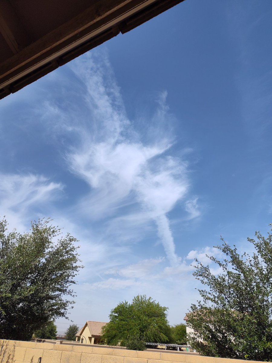 solarface77 tweet media