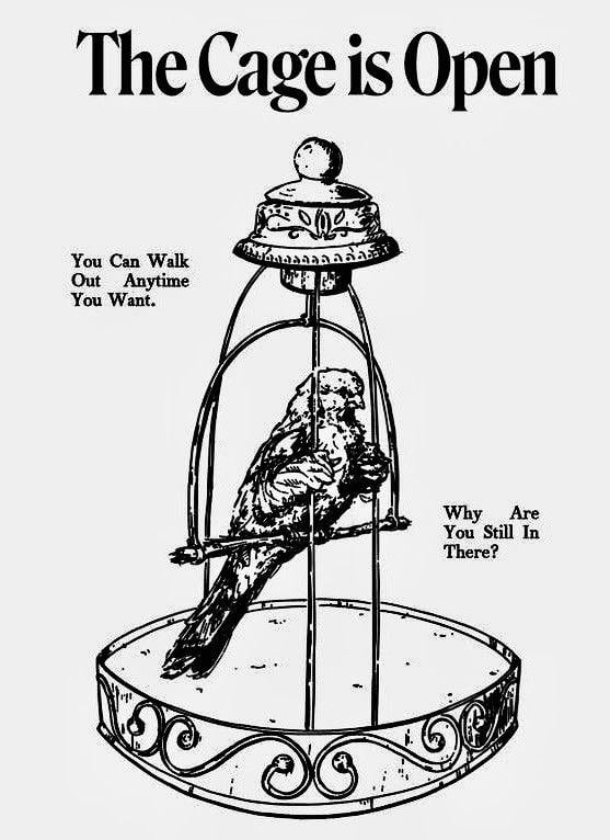 sister's noise tweet media