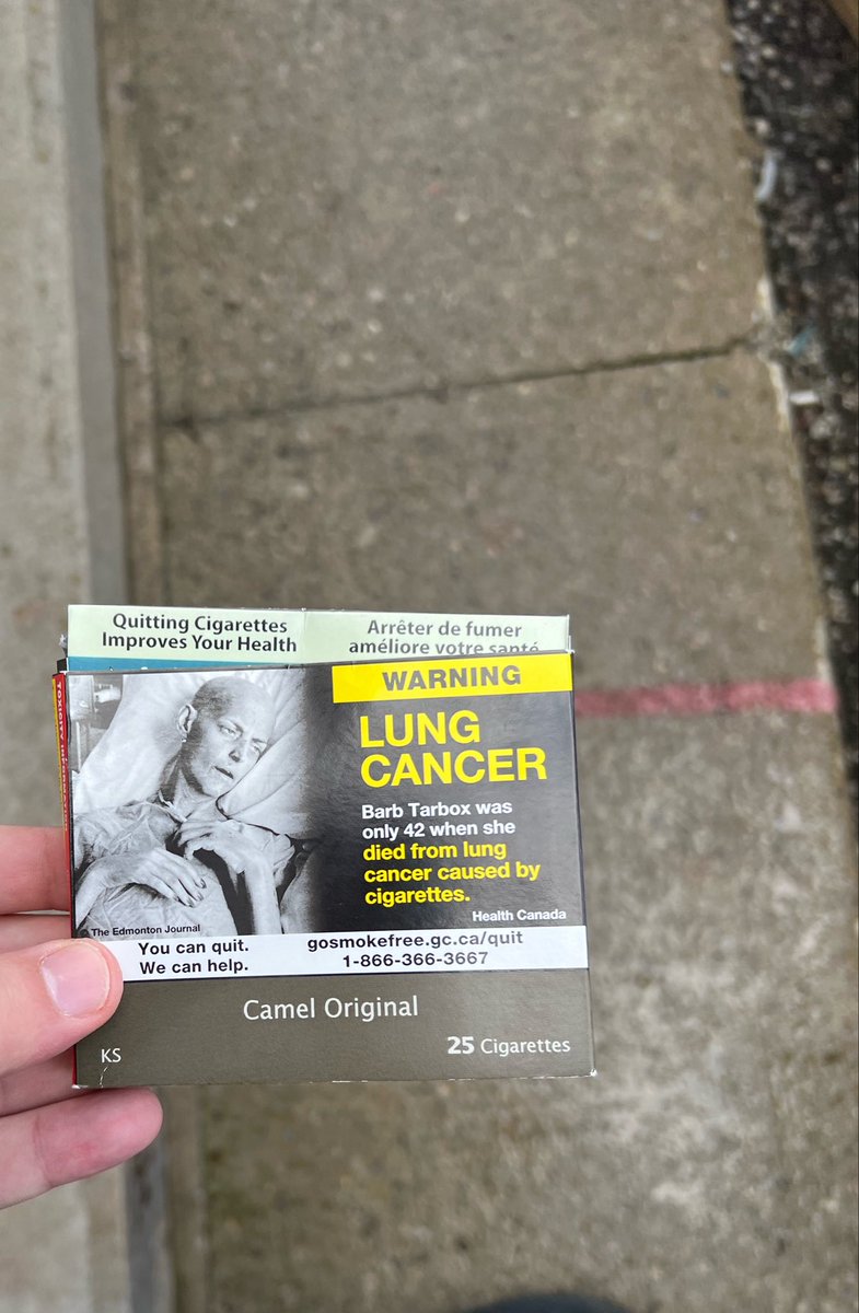 Perfect_GuyLife's tweet image. On the menu today, camel original #cigarette #cigtwt