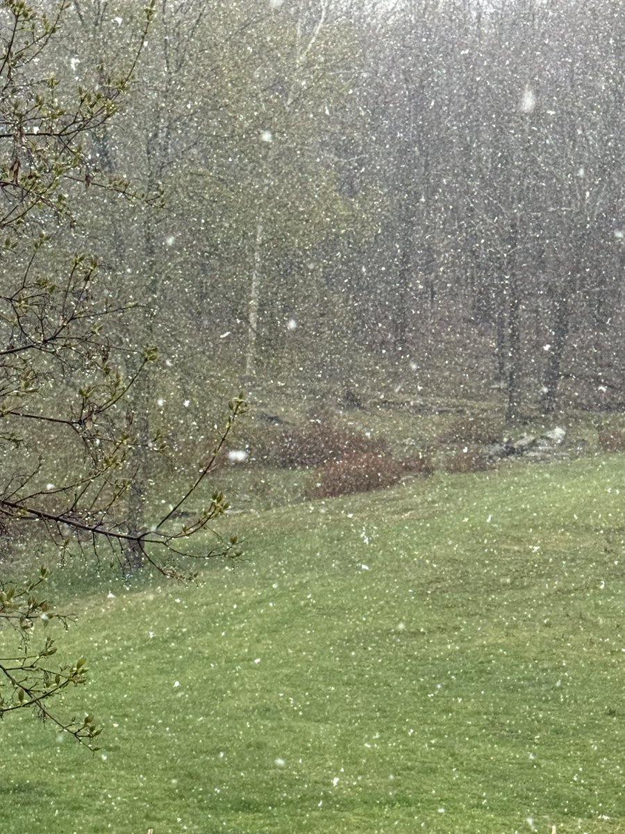 Dave Fleming tweet media