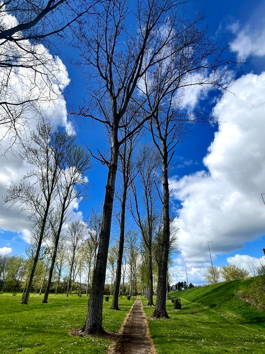 sw37xx's tweet image. Good evening, everyone! 😊

I hope you’re all enjoying your weekend &amp;amp;
have a lovely evening ahead! 💙🤍💙

#NatureBeauty #NaturePhotography