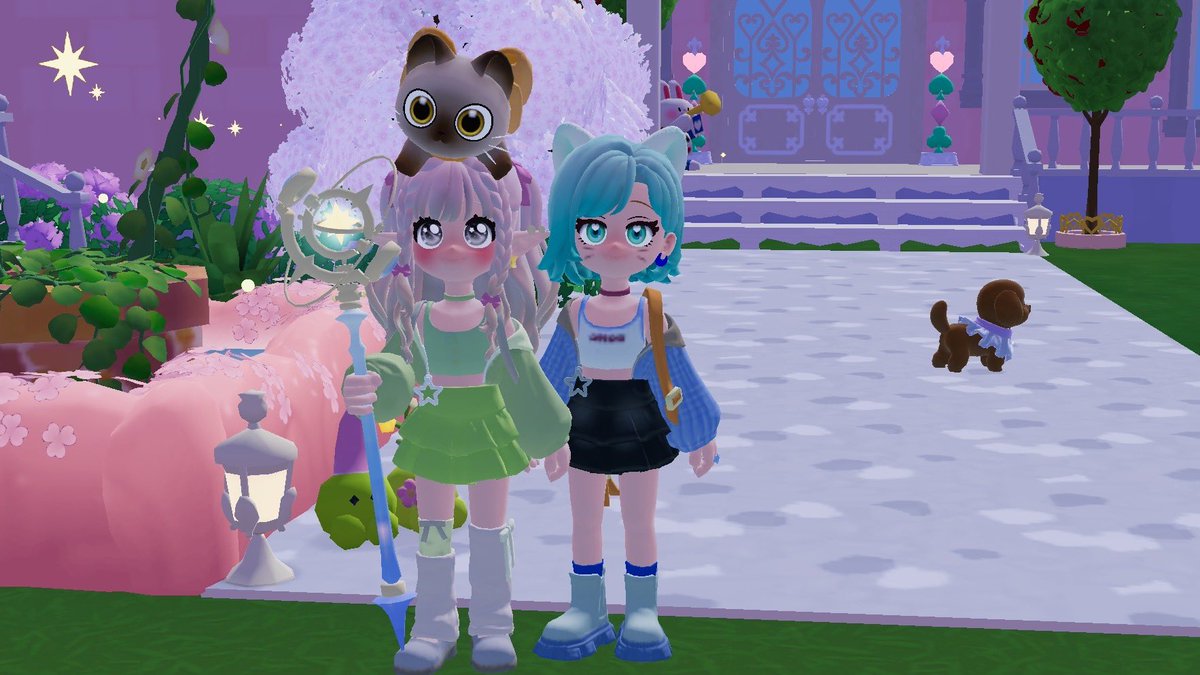 🍀にゃごん/みどり姉🐈‍⬛🐾 tweet media