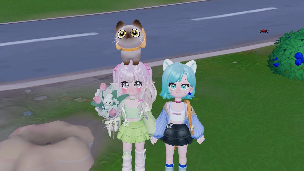 🍀にゃごん/みどり姉🐈‍⬛🐾 tweet media