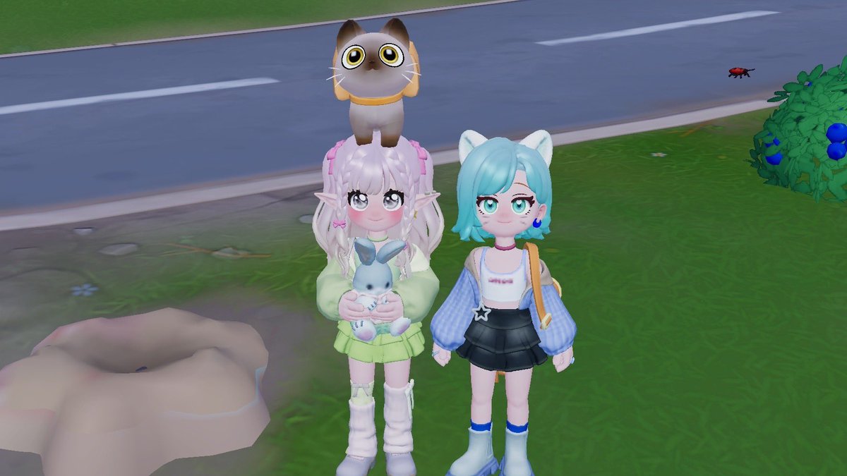 🍀にゃごん/みどり姉🐈‍⬛🐾 tweet media