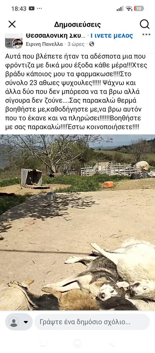 Απανθρωπο διποδο σκοτωσε 23 σκυλακια στην Βαβδο Χαλκιδικης, σκυλακια που ηταν σε ιδιόκτητο χωρο ηταν ακακα&amp;δεν ενοχλουσαν κανεναν😿στειρωμενα&amp;φροντισμενα. Το εκανε βραδυ ο βρωμιαρης για να μην τον δουν. 2 σκυλια αγνοούνται. Αναζητουν οποιον γνωριζει κατι , σκριν απο ομαδα στο fb