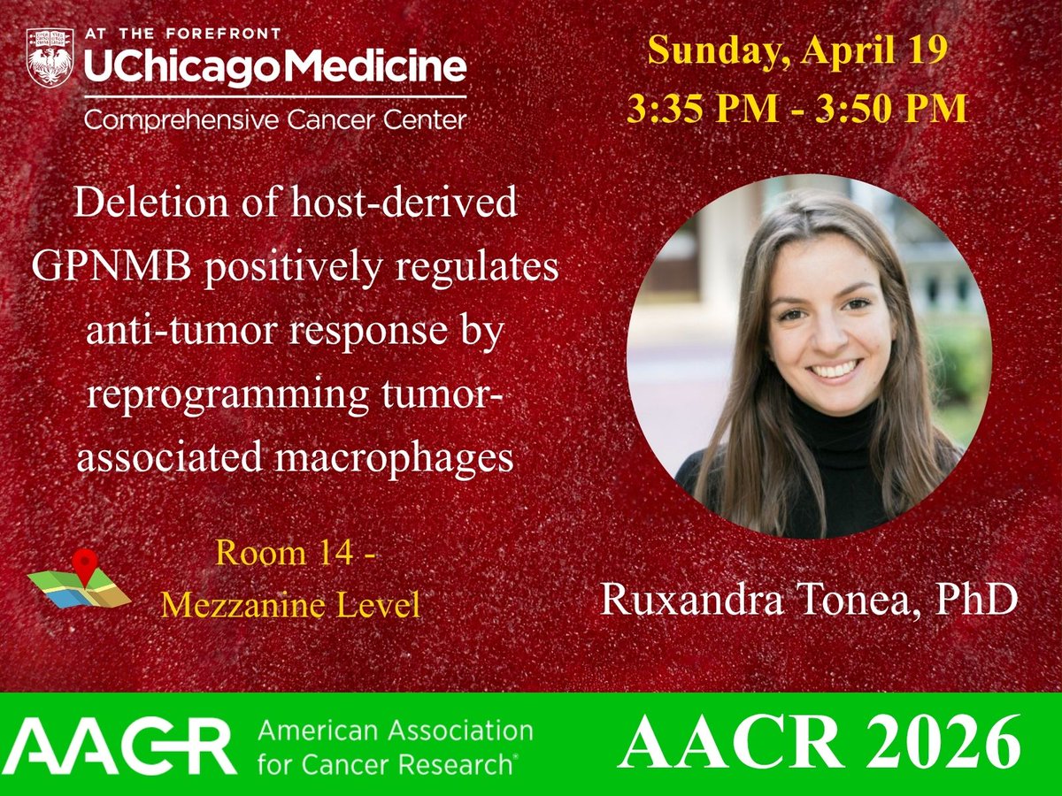 UCCancerCenter's tweet image. Join Ruxandra Tonea, PhD, at #AACR26 as she presents in the mini symposium 'Modifiers of Inflammation and the Tumor Microenvironment'  exploring how GPNMB regulates anti-tumor responses. #TME #TumorAssociatedMacrophages 
@UChicagoCCB @UChicagoPME @UChicagoPath @UChicagoHemOnc