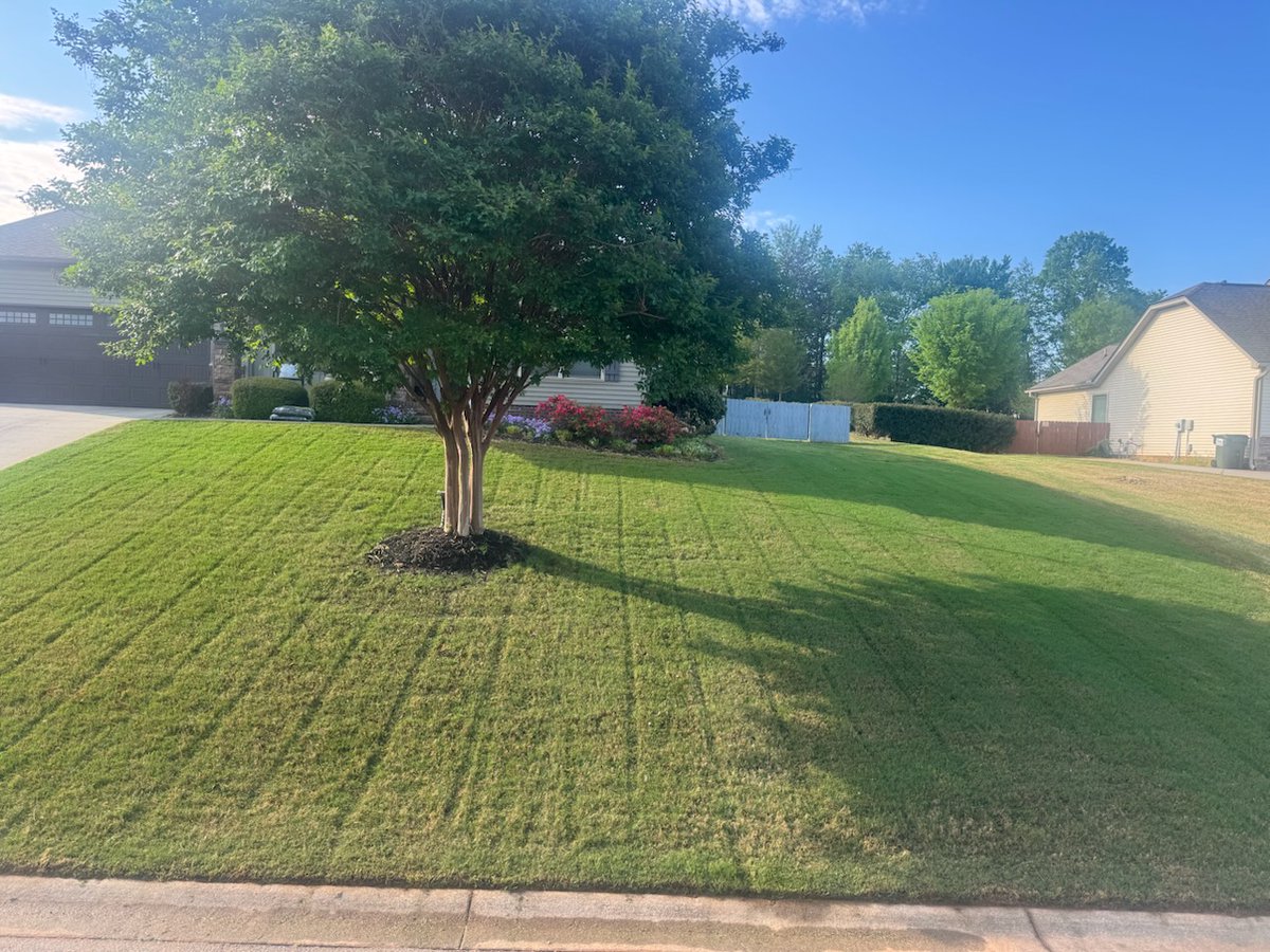 palmettolawn's tweet photo. Fresh cut Friday looking good in this SC sunshine ☀️ There's nothing like that first mow of the season when everything starts greening up. What's your favorite thing about spring in the Upstate?

#PalmettoPest #GrowingSeason #LawnCareServices #SpringFertilization #OutdoorLivin... https://t.co/D8KfXQezqn