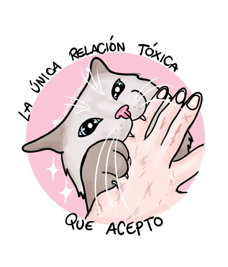 ✾𝕄𝕒𝕣𝕪𝕒✾ tweet media