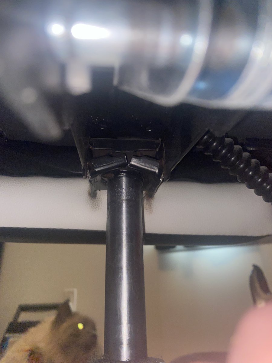 Soul 🦂👁️ tweet media