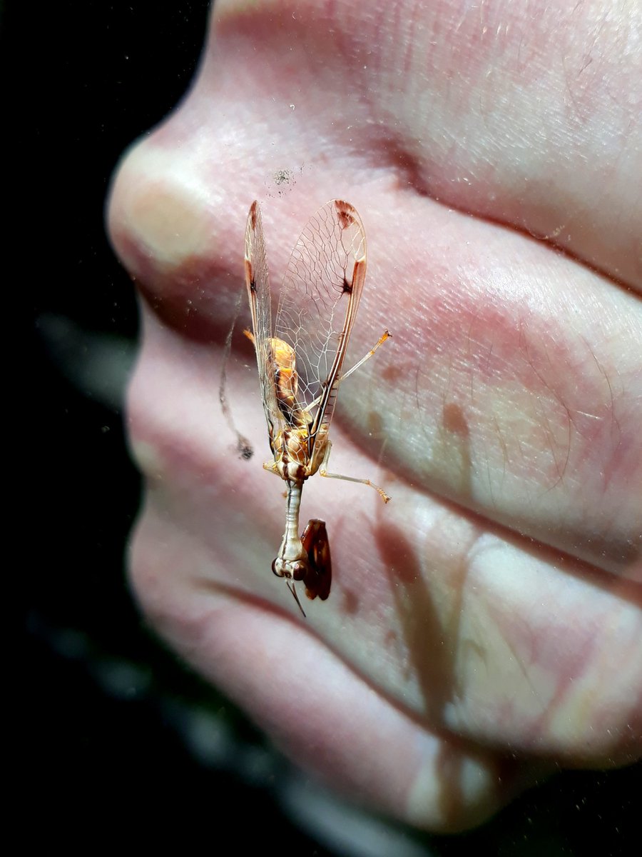 Jeffretardur tweet media