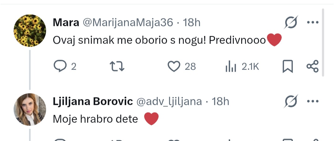 Krikijeva i Bučijeva. tweet media