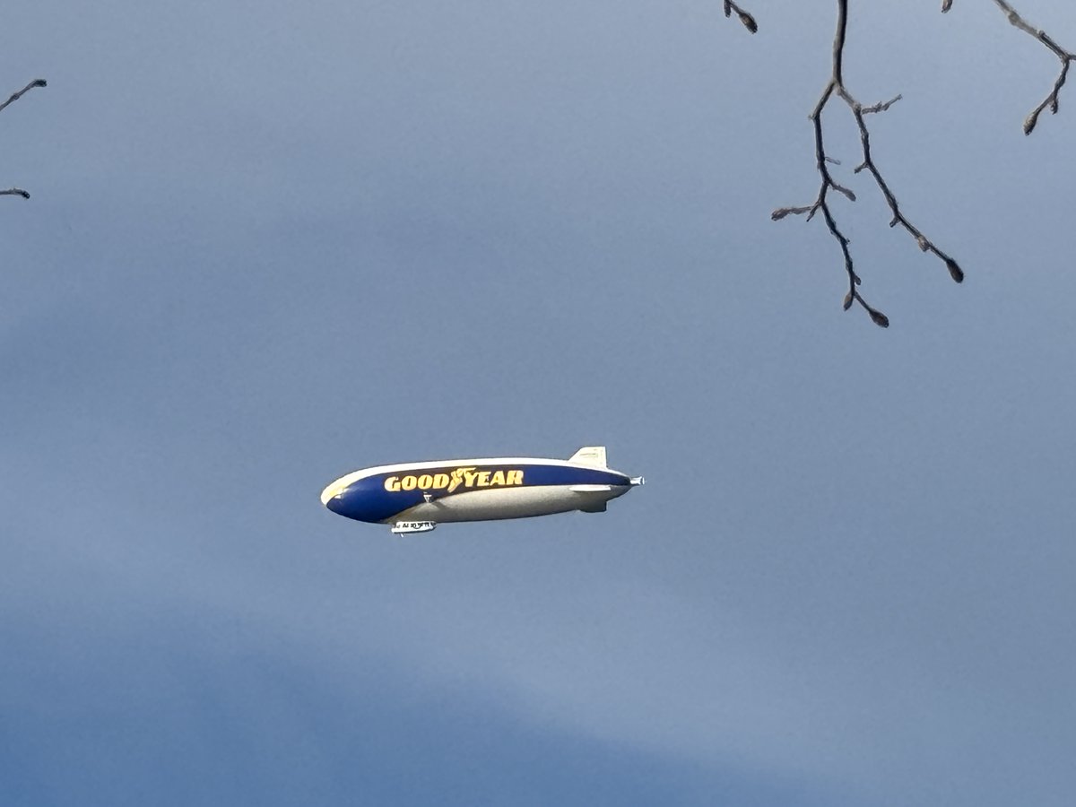 DJ Cryptomatic tweet media