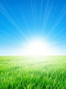 Сергей Боронцов tweet media