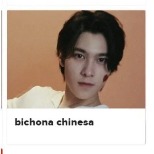 Dia 1 na China - pediram pra tirar foto comigo e me senti um bicho com todo mundo me olhando 

Dia 2 na China - percebi que não eram olhares ofensivos e inclusive as moças usavam tradutor pra me elogiar kkk

Dia 3 na China - me sentindo famosa nihao xie xie