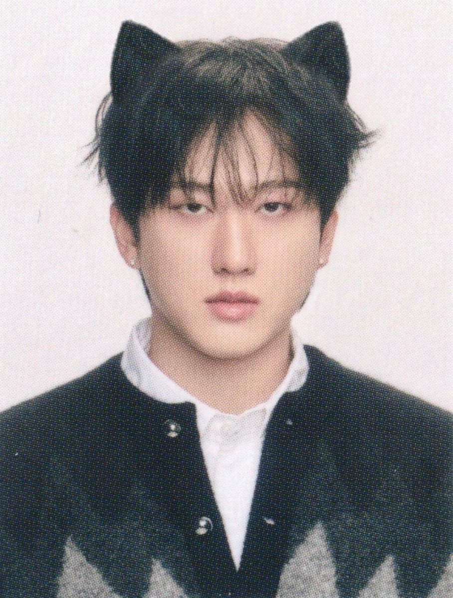 president of changseunglixville mangolover999₊˚✩彡 tweet media