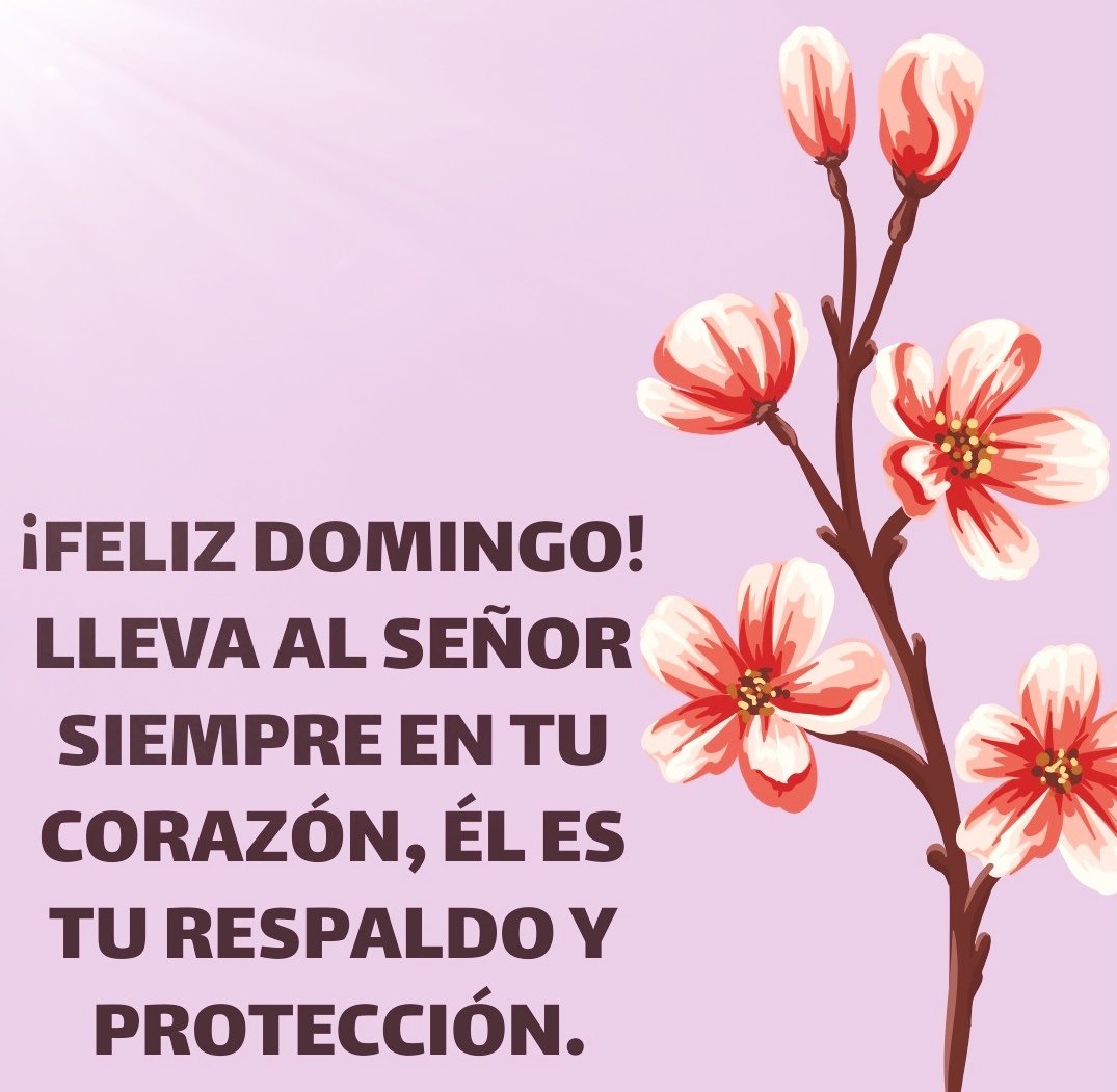 PepeNaranjo1's tweet image. #Hoy #AlDía #ÚltimaHora #AlMomento 

☀️ #BuenosDías que hoy #domingo #19deAbril2026 sea una jornada familiar lleno de luz, alegrías y #bendiciones infinitas para ti y tu familia. Así sea. #Amen 🙏

#Colima #EstadodeColima #México |🇲🇽