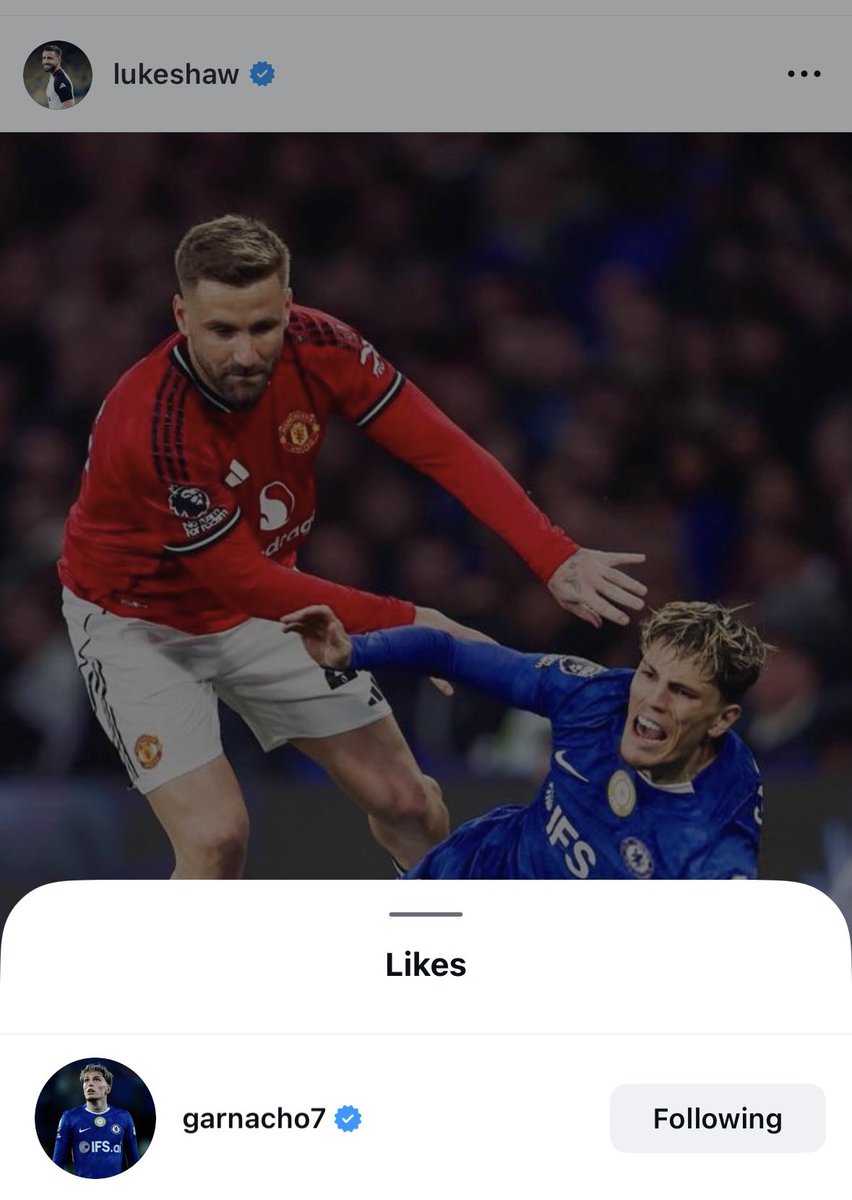 SimplyUtd's tweet photo. ��� Alejandro Garnacho has liked Luke Shaw’s Instagram post! https://t.co/n8SVHSeCdp