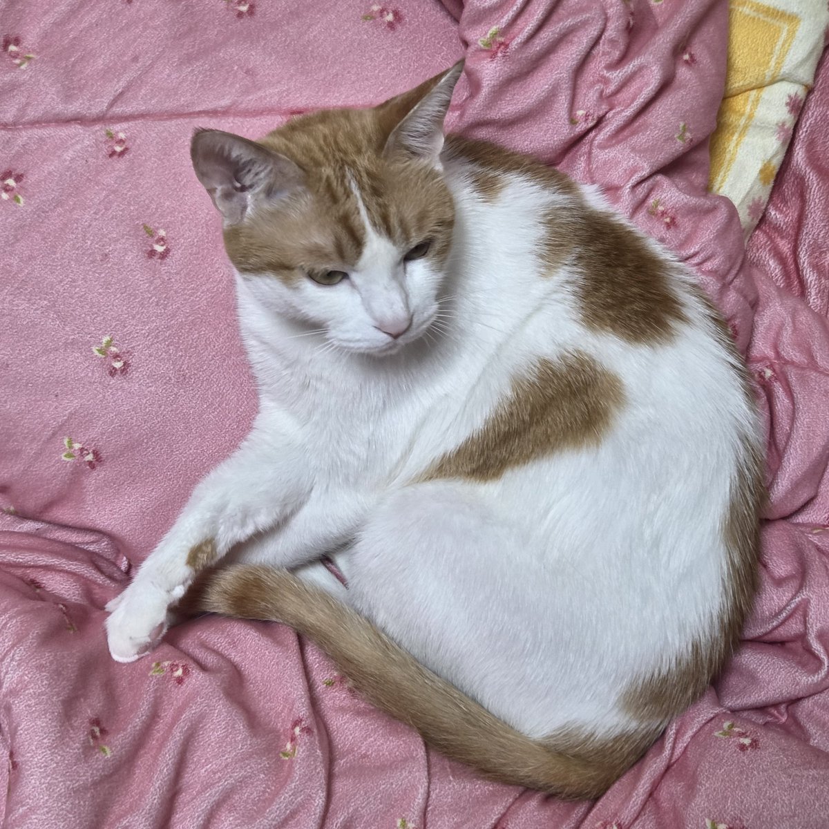 퇴근만을 기다리는 이유...