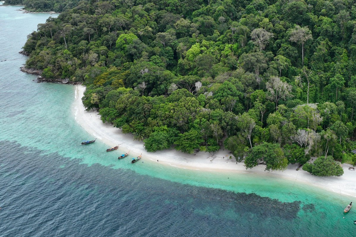 กรมอุทยานแห่งชาติ สัตว์ป่า และพันธุ์พืช tweet media