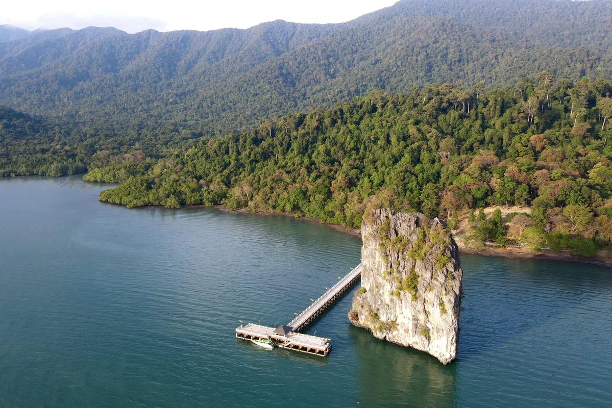 กรมอุทยานแห่งชาติ สัตว์ป่า และพันธุ์พืช tweet media