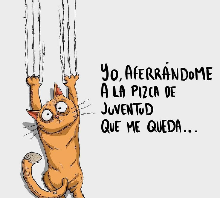 ✾𝕄𝕒𝕣𝕪𝕒✾ tweet media