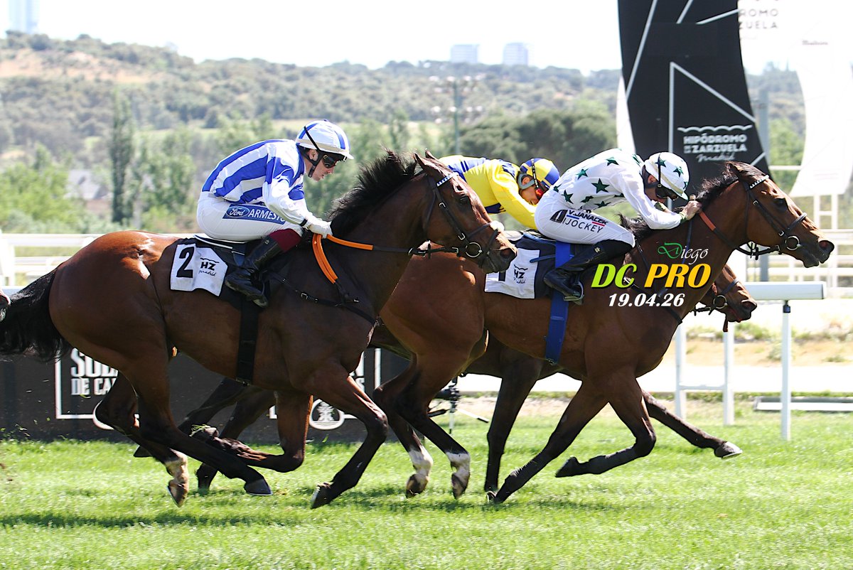 DC PRO 🐎 tweet media
