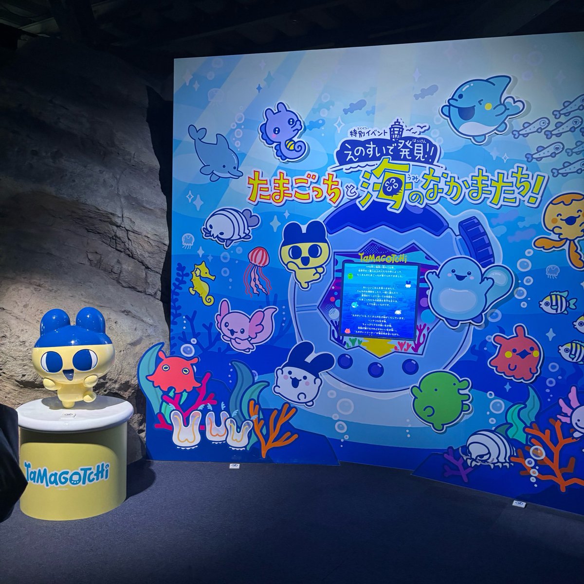 lets_tamatomo's tweet photo. #えのたま 
たまごっちすぺしゃるナイト!!✨

夜の水族館🐬とても良かった〜
たまごっち好きなにんげんたちがたくさんいてほっこり
あわたんまめっちくちぱっちいるかっちにも会えた🫧
貴重なおはなしも聞けました😊

 #えのすい  #たまごっち https://t.co/ZMzhD7FoVr