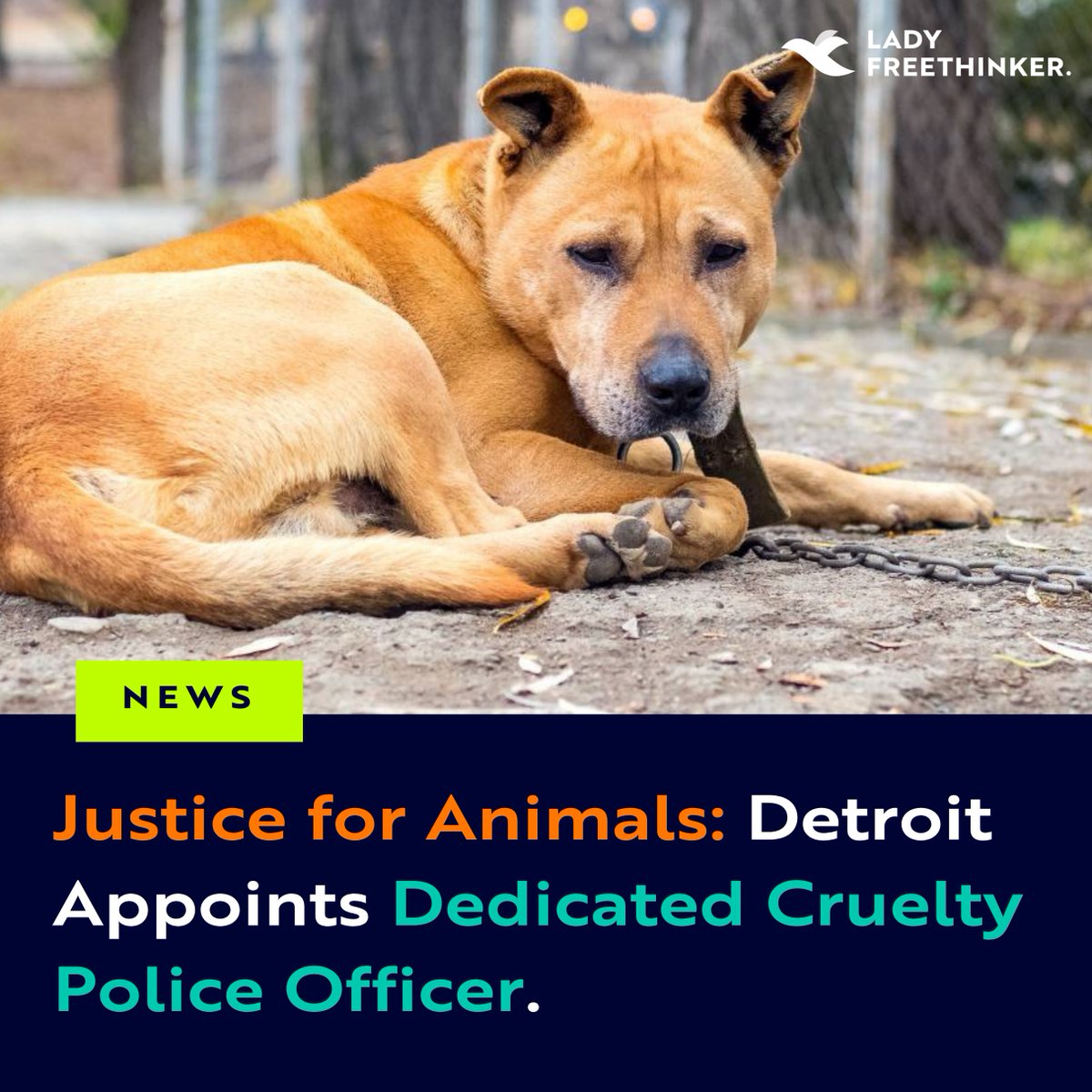 Lady Freethinker tweet media