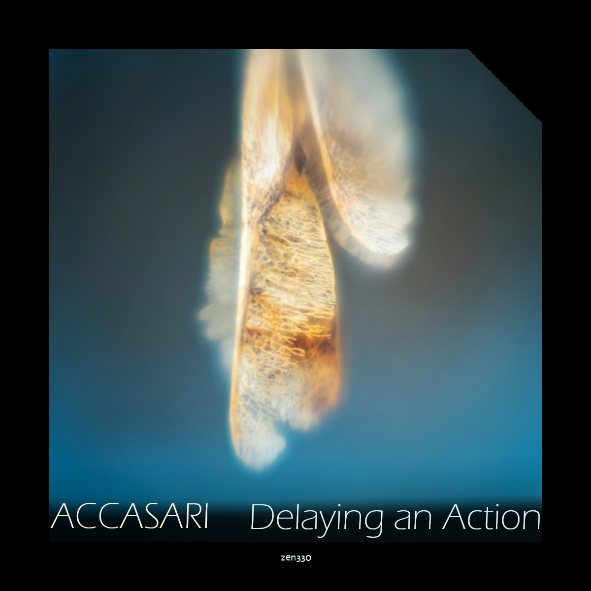 Zenapolae's tweet photo. hej.
we have a new release for you:
Accasari: Delaying an Action
https://t.co/MY5AocV0Uv
intimate ambiences
give it a listen!
#ambient #dronemusic
#zenapolae #netlabel #ccmusic https://t.co/dxNpEIY7Do
