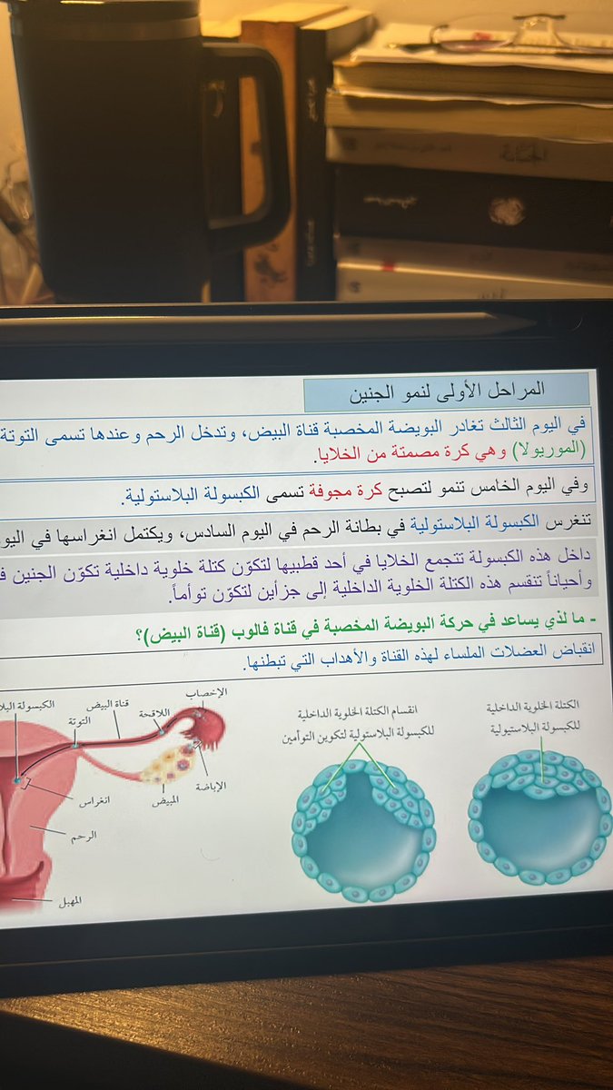 انام بعدها اذاكر
اذاكر بعدها انام