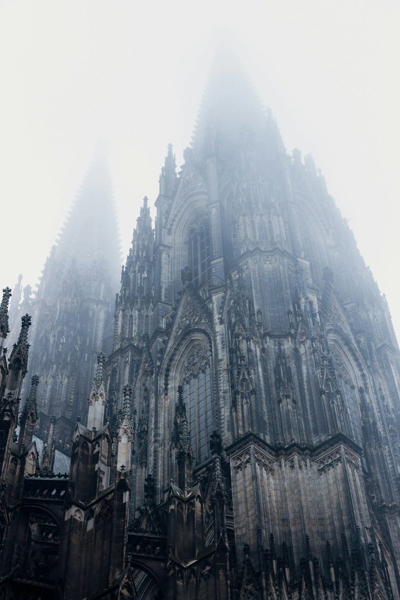 Trad West tweet media