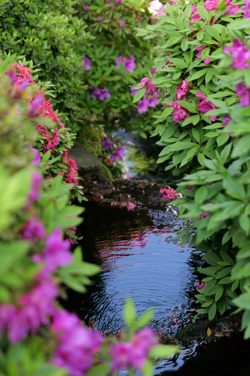 のべⓉ tweet media