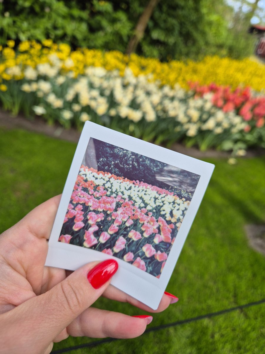 Julia 🪐 tweet media