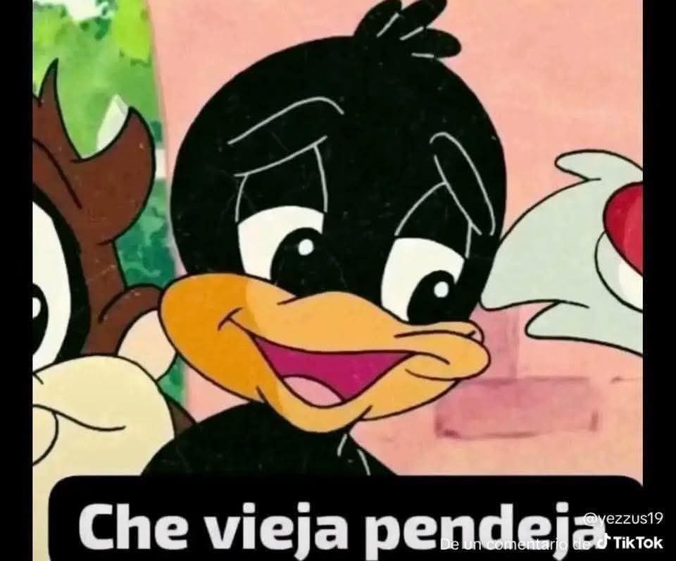 Cheems Rojo tweet media