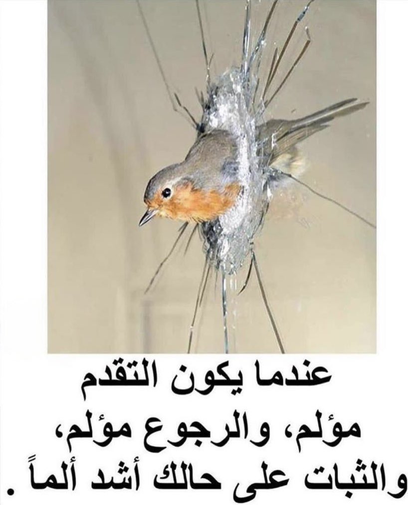 داني tweet media