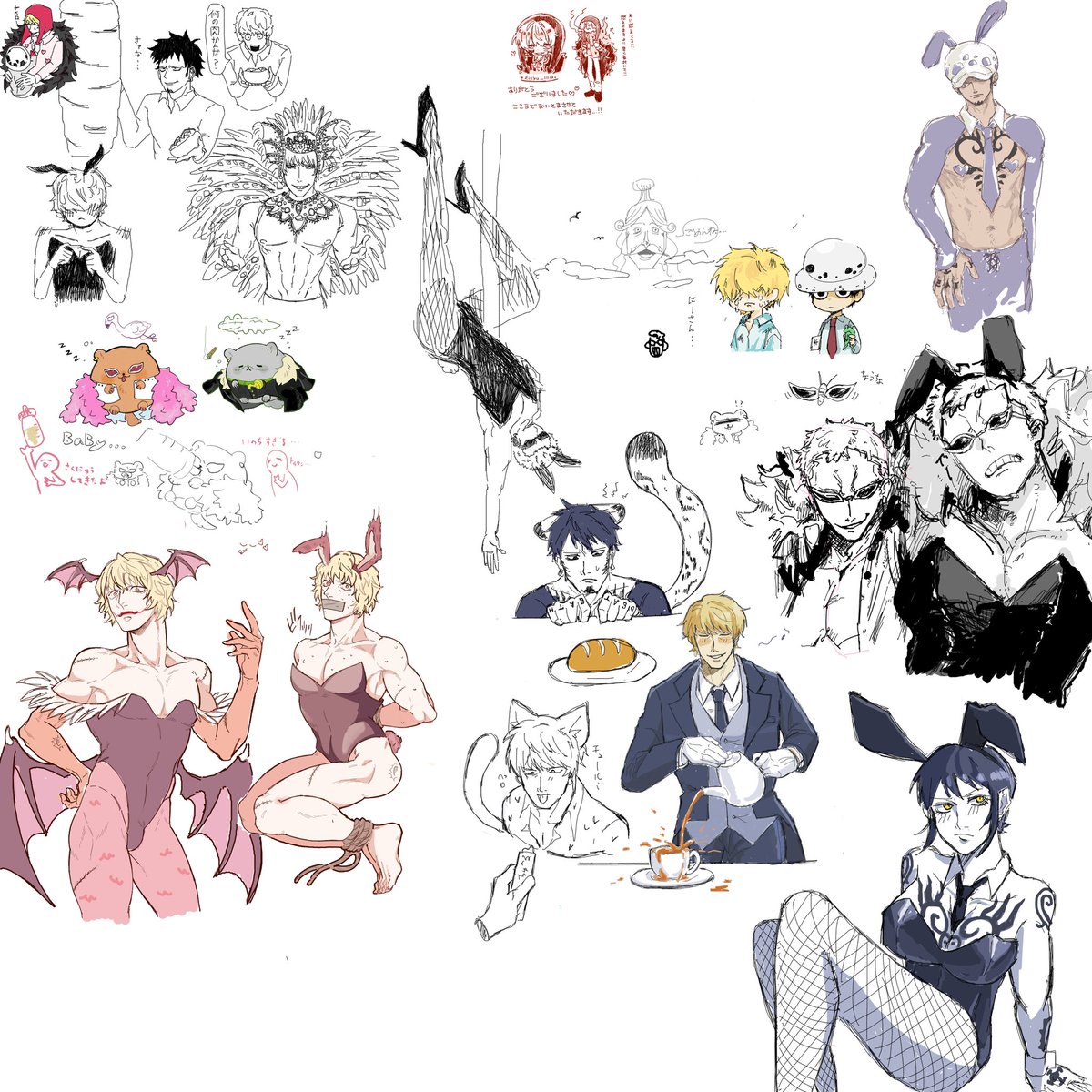 こっさん🐢 tweet media